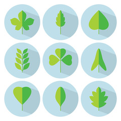 Green leaf flat icon set. Spring vector collection. Tree leaves. Eco logo sign