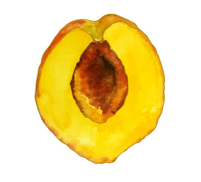 Half of a peach.