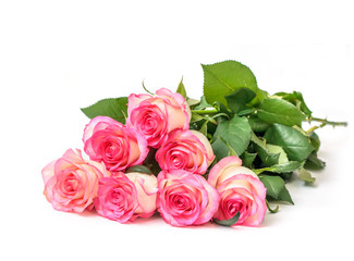 Beautiful bouquet of beige roses with a pink border isolated on white background