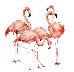 Watercolor flamingo group set. Hand painted bright exotic birds isolated on white background. Wild life illustration for design, print, fabric or background.