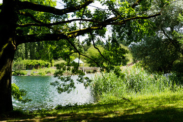 Seepark Freiburg 2018