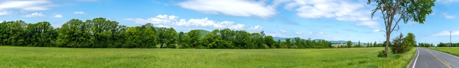 Panoramic view of a land in summer in Adirondacks NY 