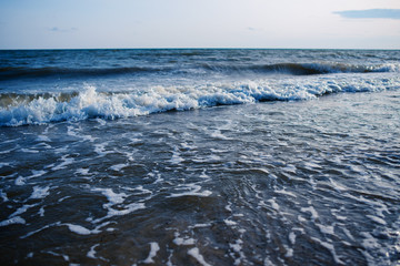 a wild beach and a pigeon sea water on a lovely sunny day