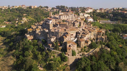 Aerial view of the village of Castelnuovo di Porto, near Rome, in Italy. The village is built perched on a hill and overlooks a green valley full of trees. At the top there is the medieval castle.