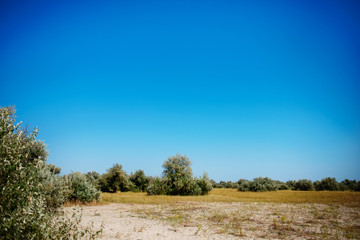 Fototapeta premium Panorama wild, sea beach in the National reserve island