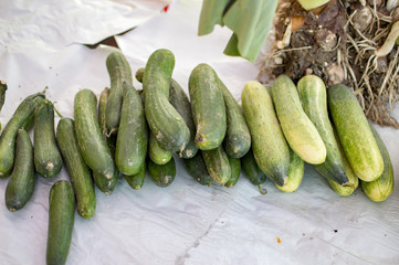 Fresh cucumbers on sale