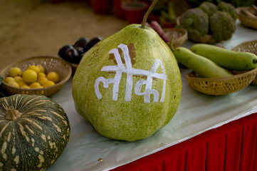 Bottle gourd calabash with hindi text - obrazy, fototapety, plakaty