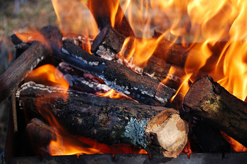 Fire burns in the grill in nature.
