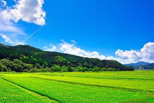 田舎風景」の写真素材 | 3,558,115件の無料イラスト画像 | Adobe Stock