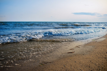 a wild beach and a pigeon sea water on a lovely sunny day
