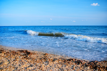 a wild beach and a pigeon sea water on a lovely sunny day