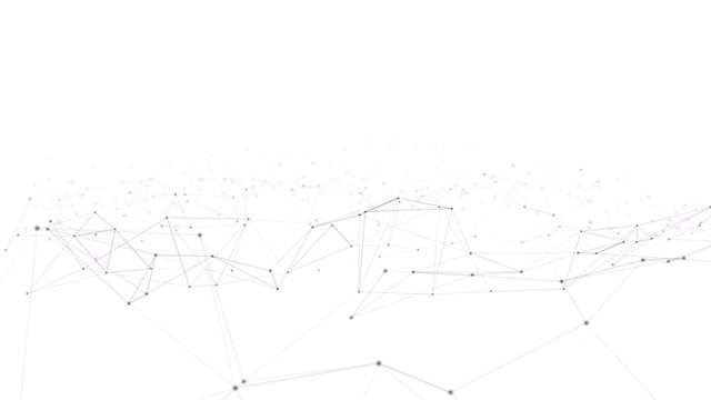 Minimal transforming connected network plexus lines