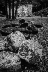 The ruins of the old mill
