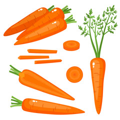 Bright vector set of fresh carrots isolated on white. - 207811769