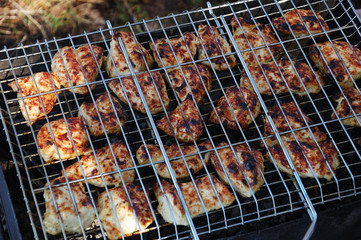 Chicken meat is grilled on the nature.
