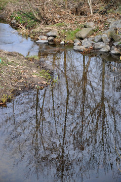 Rodau Bilder Durchsuchen 42 Archivfotos, und Videos