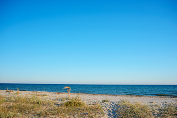 a wild beach and a pigeon sea water on a lovely sunny day