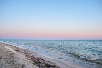 a wild beach and a pigeon sea water on a lovely sunny day