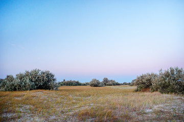Fototapeta premium Panorama wild, sea beach in the National reserve island