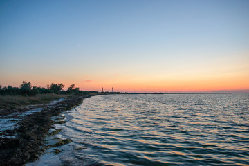 a wild beach and a pigeon sea water on a lovely sunny day