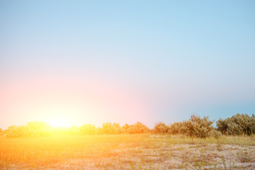Panorama wild, sea beach in the National reserve island