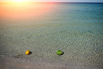 Fototapeta na wymiar melon and watermelon lies on the beach in the water