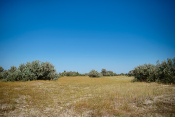Panorama wild, sea beach in the National reserve island