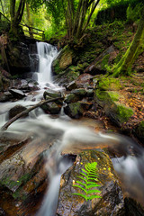 Folha solit&aacute;ria