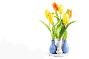 Fototapeta na wymiar Tulpen in kleinen Vasen isoliert mit Textfreiraum