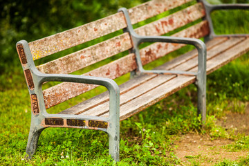 Old wood bench surrounded by nature