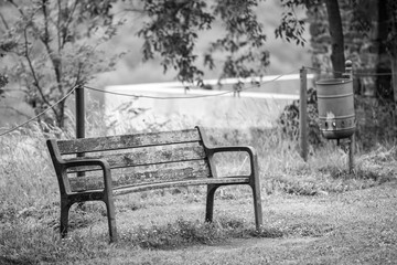 Old wood bench surrounded by nature