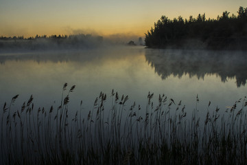 туманное утро 