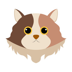 Isolated cute cat avatar