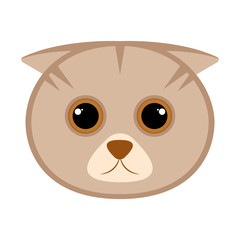Isolated cute cat avatar