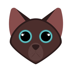 Isolated cute cat avatar