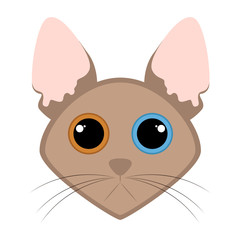 Isolated cute cat avatar
