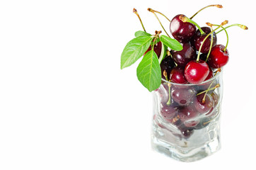 Berries of sweet ripe cherry in glass vase isolated on white