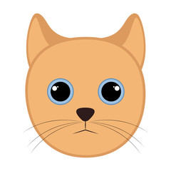 Isolated cute cat avatar