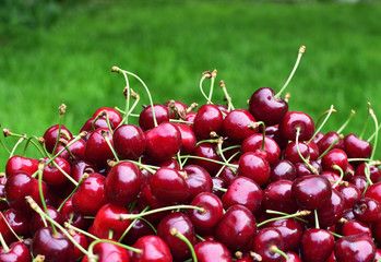 Closeup sweet red cherries on green summer grass. Summertime. holidays background.