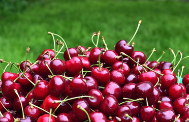 Closeup sweet red cherries on green summer grass. Summertime. holidays background.