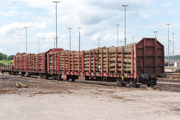 Fototapeta na wymiar Cargo Transport Zug mit Holz beladen