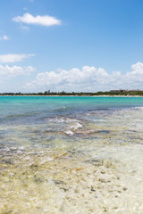 A panoramic view of a beach with turquoise color water in Cancún, Mexico.