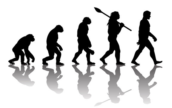 Theory of evolution of man