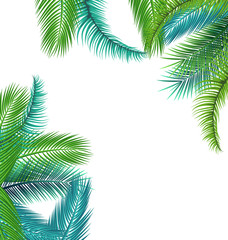 Fototapeta premium Tropical background with jungle plants. Exotic pattern with palm leaves. 