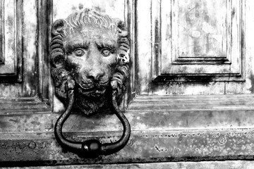 Close-up of brass knocker depicting a lion