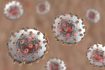Lassa fever viruses, 3D illustration. RNA-viruses from Arenaviridae family, they have inner inclusions and outer glycoprotein spikes, the causative agent of Lassa hemorrhagic fever