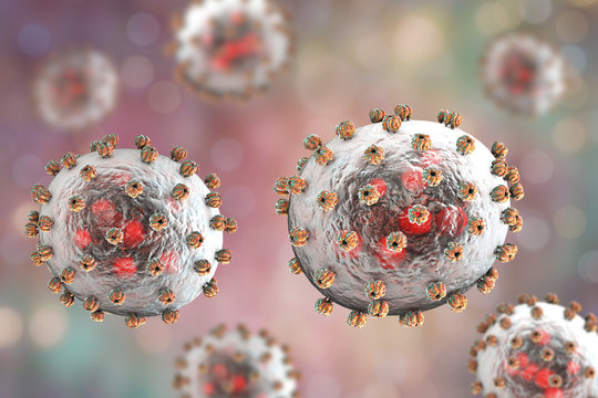 Lassa fever viruses, 3D illustration. RNA-viruses from Arenaviridae family, they have inner inclusions and outer glycoprotein spikes, the causative agent of Lassa hemorrhagic fever