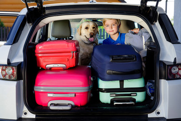 family vacation suitcases Labrador dog boy kid baggage blue pink orange house sun summer luggage...