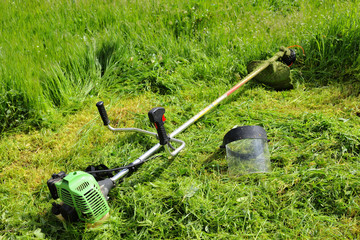 Trimmer for cutting grass