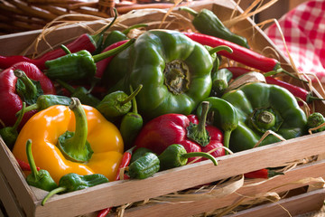 Piments_Poivrons